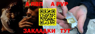 шишки Камышлов