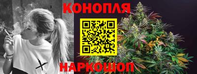 шишки Камышлов
