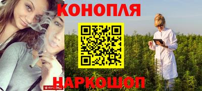 гашик Кандалакша