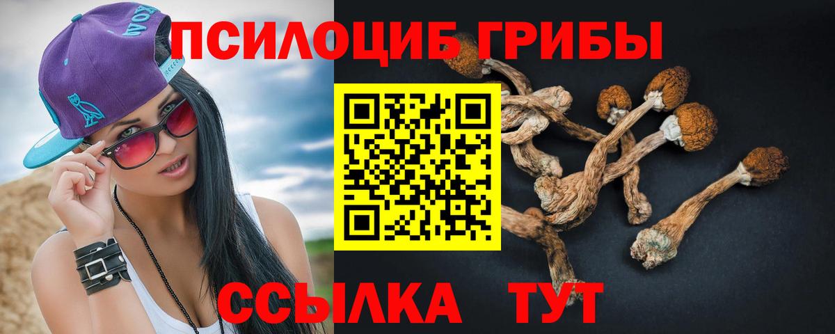 Галлюциногенные грибы Magic Shrooms Красноярск