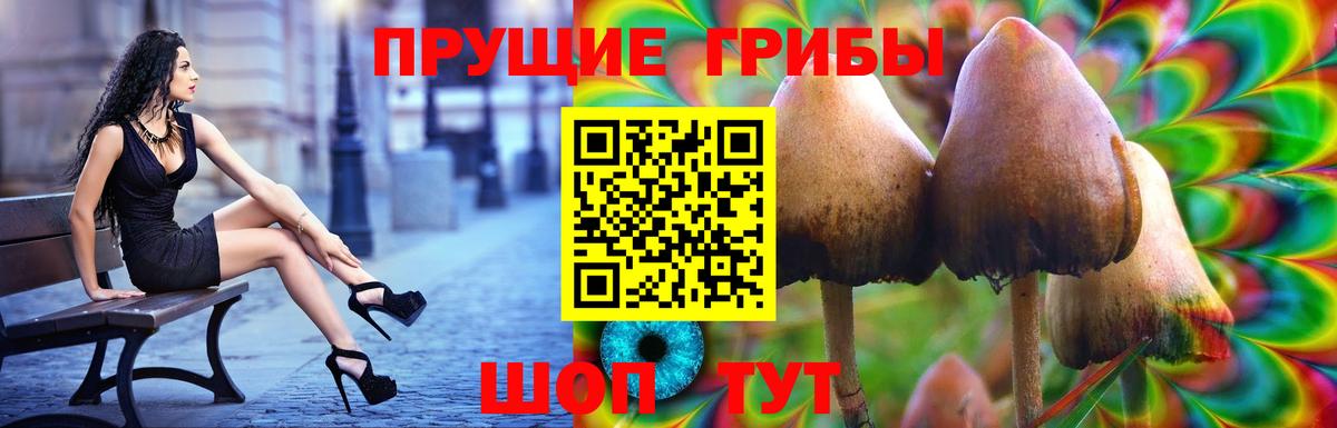 Галлюциногенные грибы Psilocybe  Вход с VPN  Красноярск 